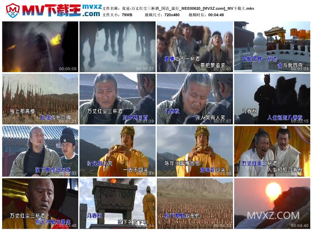 张延-万丈红尘三杯酒_国语_流行_MEE00620